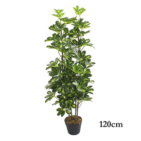 ARBOL DE ARBORICOLA 120cm