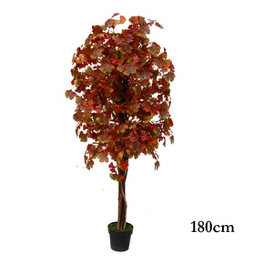 ARBOL DE GINGKO 180cm