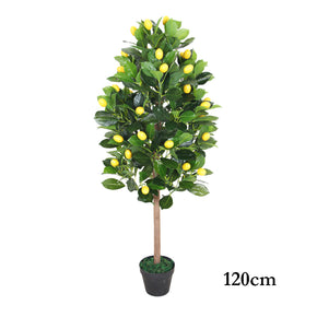 ARBOL DE LIMON 120cm