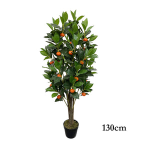 ARBOL DE MANDARINA 130cm