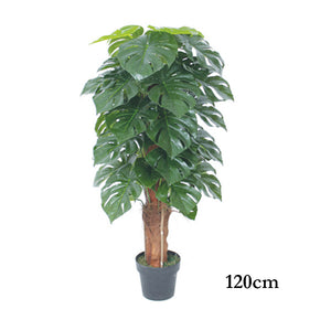 ARBOL DE MONSTERA 120cm