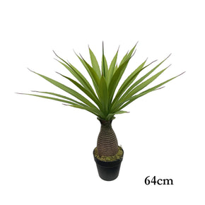 ARBOL DE YUCA 64cm