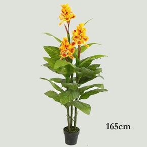 MACETA DE FLOR LIRIO DE CAÑA 165cm (sin maceta)