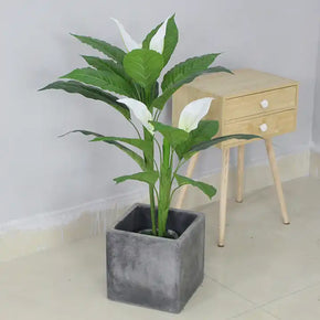 MACETA DE FLOR ANTURIO 90cm (sin maceta)