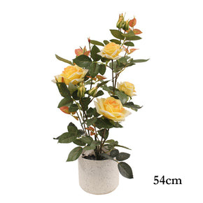 MACETA DE FLOR BUGANVILLA 54cm (sin maceta)