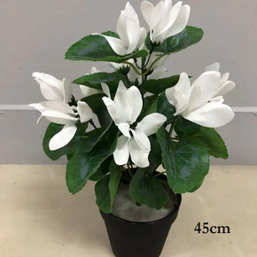 MACETA DE FLOR CICLAMEN 45cm (sin maceta)