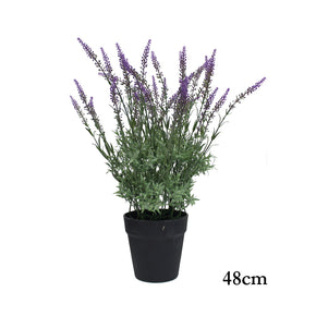 MACETA DE FLOR LAVANDA 48cm (sin maceta)