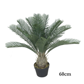 PLANTA YUCA 60cm (sin maceta)